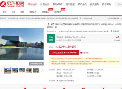 起拍價(jià)130億！深圳前海核心地塊法拍，曾規(guī)劃‘深圳最高樓’與實(shí)業(yè)投資夢